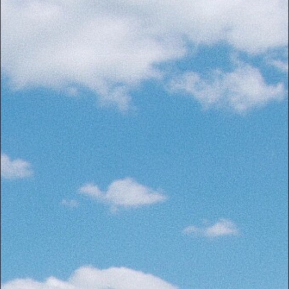 Meet your Posher, Adrienne - Picture 1 of 1